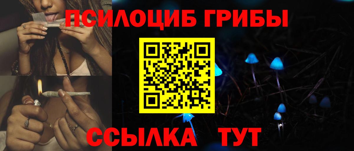 Псков  Галлюциногенные грибы Cubensis  Вход с VPN  Галлюциногенные грибы Psilocybine cubensis 